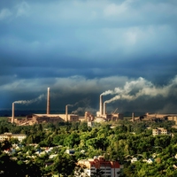 environmental factors