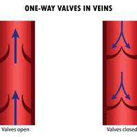 valves