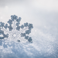 阵雪