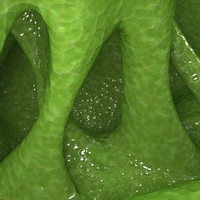 organism