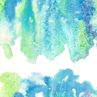 absorbent