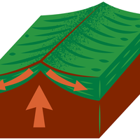 plate boundary