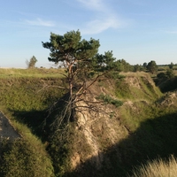 ditch