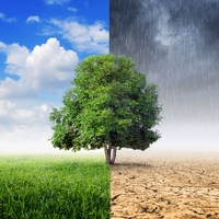 climate