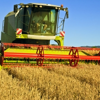 grain farm
