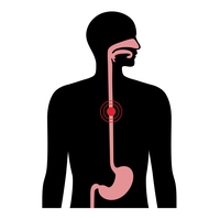 oesophagus