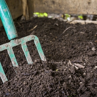 topsoil