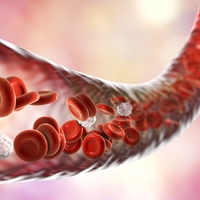 vein