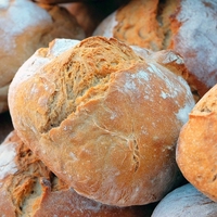 yeast