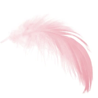 feather