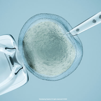 in vitro fertilisation (IVF)