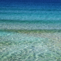 aqueous