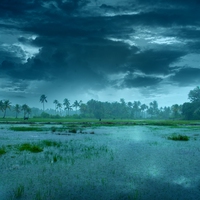 monsoon