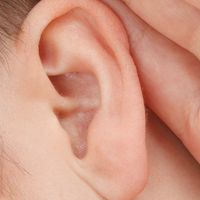 ear
