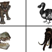 extinction