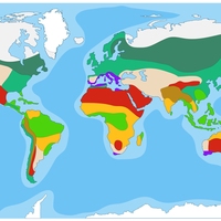 biomes