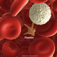 platelets