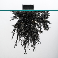 iron filings