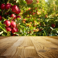 orchard
