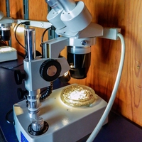 microscope