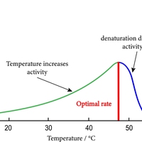initial rate of reaction