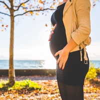 pregnancy