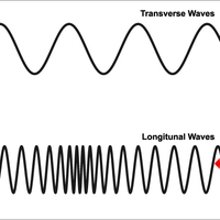 transverse wave