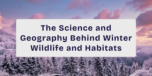 The Science and Geography Behind Winter Wildlife and Habitats