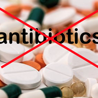 antibiotic resistance