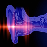 eardrum