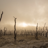 drought