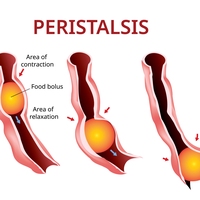 peristalsis