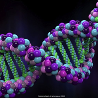mutation