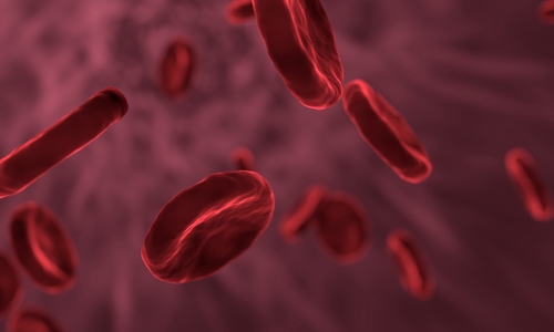 The home educator guide to teaching KS3 Biology