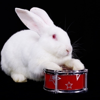 drum