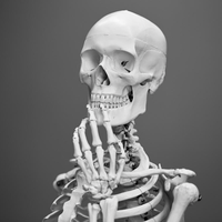 skeleton