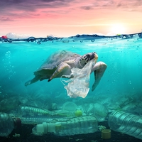 pollution