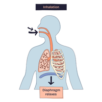 inhalation