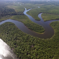 The Amazon