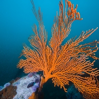 ecosystem