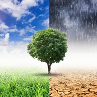 climate