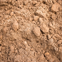 sandy soil