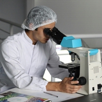experimental observations