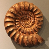 petrified