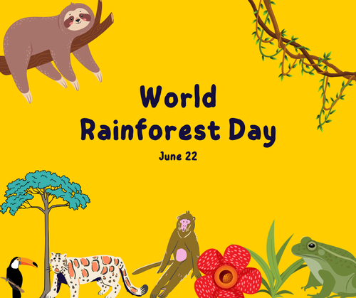 June 22nd: World Rainforest Day 