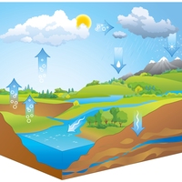 water cycle
