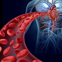 blood vessels