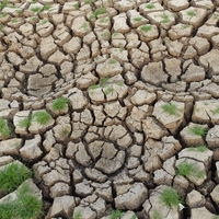 climate change