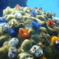 ecosystem