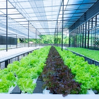 hydroponics